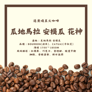 【遂炭燒直火咖啡】瓜地馬拉 安提瓜 花神