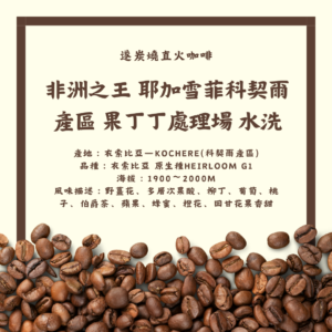【遂炭燒咖啡】非洲之王 果丁丁處理場 水洗